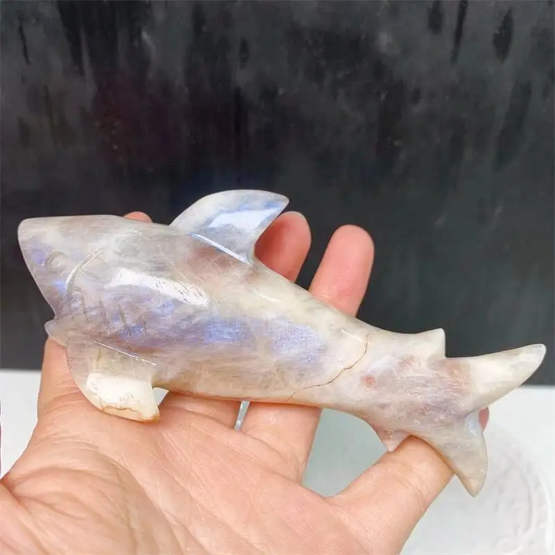 

13cm Natural Blue Moon Stone Shark Crystal Carving Home Decoration Healing Powerful Animal Office Desktop Ornaments Gift 1pcs