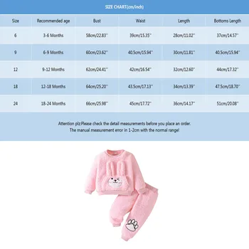 Newborn Baby Girls Clothes Sets New Winter Warm Fleece Suit Sweatshirts Pullovers+Pants 2Piece Outfits Costume Infant Clothing 3