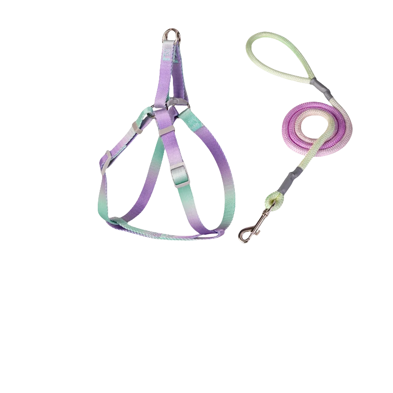 Adjustable Indoor/Outdoor Pet Leash and Harness Set – Break-Free Design, Vibrant Colors