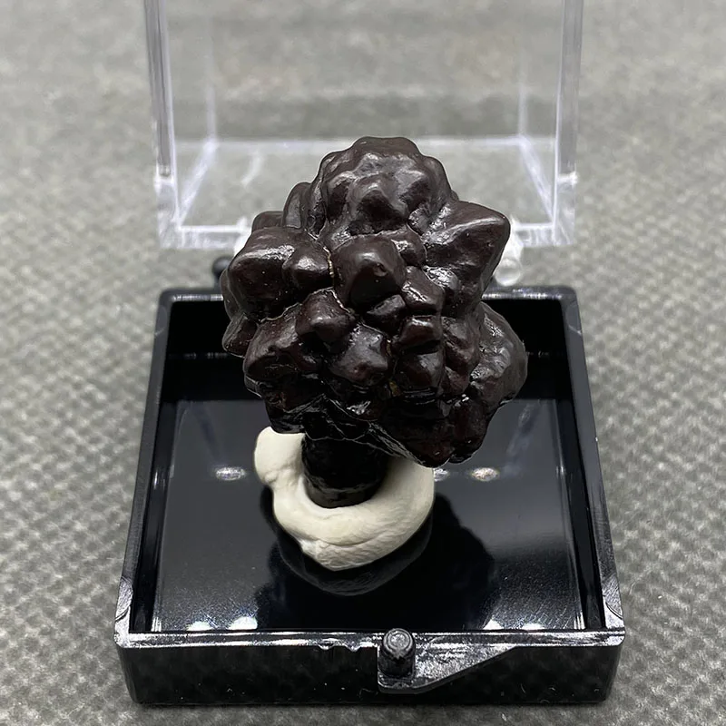 100% Natural rare Egypt Limonite mineral specimen stones and crystals healing crystals quartz gemstones +box size:35*35*35mm