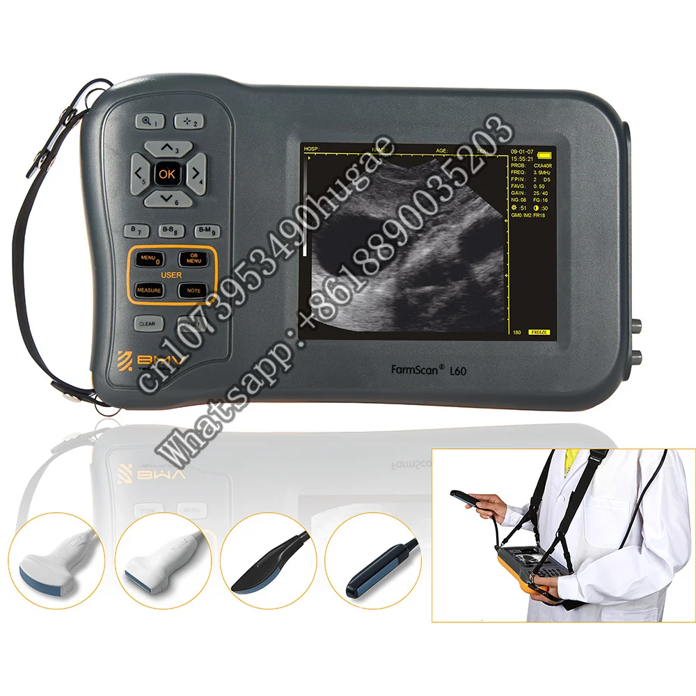 Bmv Farmscan L60 Portatile Portatile Bovini Equino Pecora Maiale Scanner Ad Ultrasuoni Ecografo Strumenti Veterinari Echographe