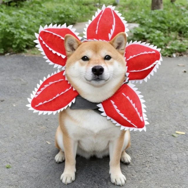 Pet Hat Costume Demogorgon Hat Props Headwear Soft Kitten Scary Flowers Pet Hat Costume Demogorgon Hat Props Headwear Soft Kitten Scary Flowers