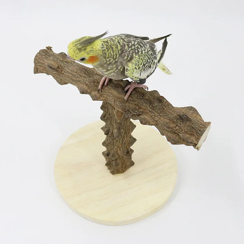 Parrot T-shaped Sichuan pepper wood game stand, bird stand, pole climbing ladder, parrot toy training supplies