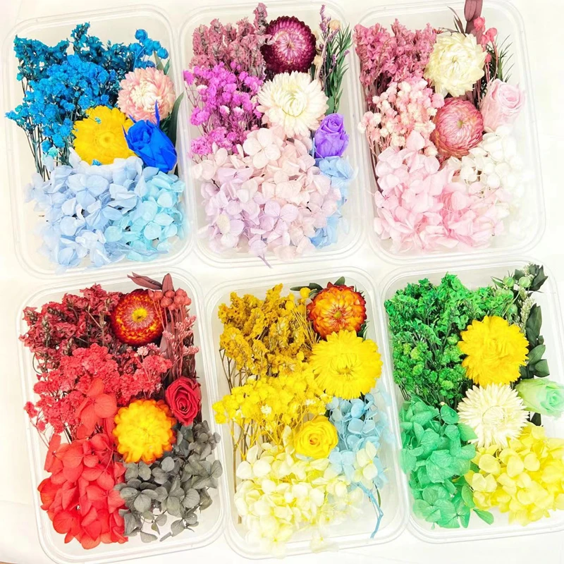 

DIY Dried Flowers Petals for Making Mobile Phone Case Candle Handmade Crafts Epoxy Resin Pendant Necklace Jewelry Boxed Decor