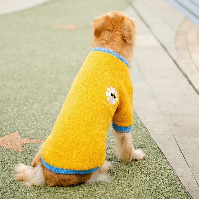 yellow-1