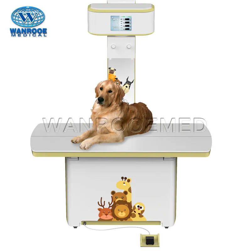 Рисунок 3 - Ветеринарный высокочастотный панорамный