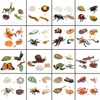 Animal Life Cycle Board Children Toys Montessori Teaching Aids Plant Animal Growth Cycle Model Set preschool cognitive Toys 4