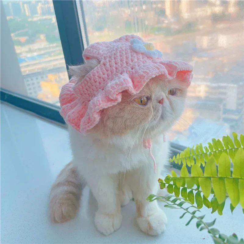 Title 3, Autumn Winter Cat Hat Elastic Cute Refined Pet ...