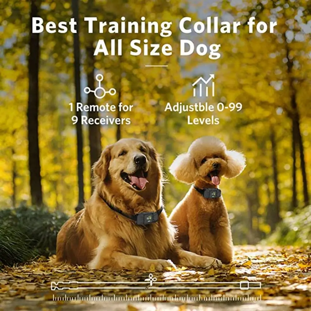 Dog Training Electric Collar - Anti Bark Collar for Dogs