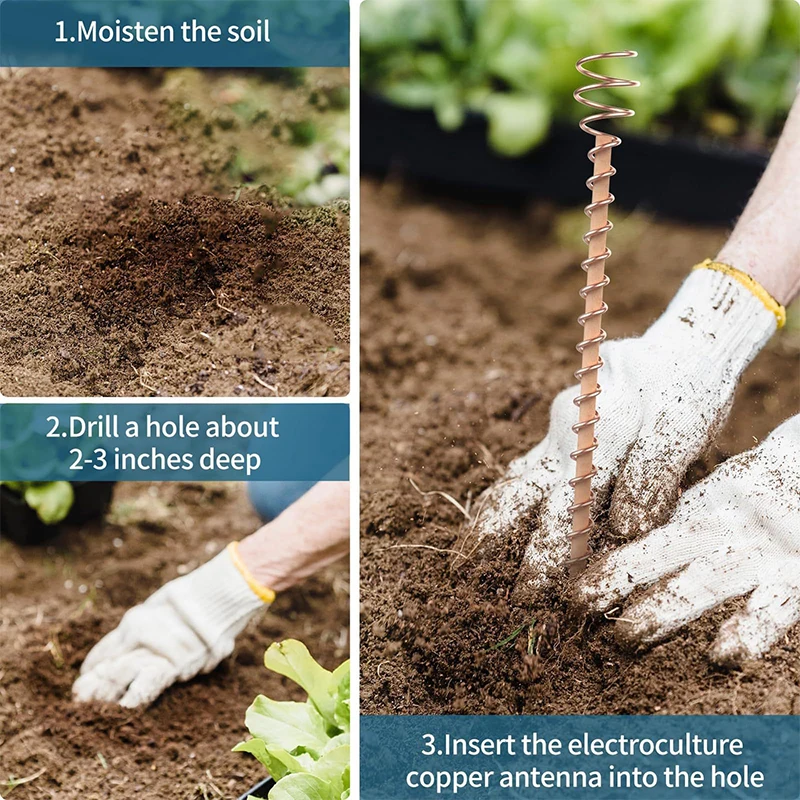 Description Picture 6 of itemElectroculture Plant Stakes Gardening Copper Coil Antennas For Growing Garden Plants Vegetables Using Ether Energy Accessories