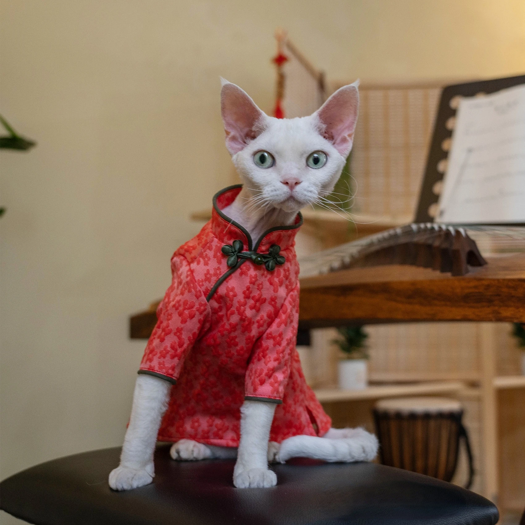 

Devon Cat Clothes Cat Cheongsam Imitation Silk Anti-pilling Temperament Heavy Industry Texture Exquisite Hairless Cat Clothes