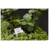 10pcs Garden Decor Dollhouse Ornament Scene Model Micro Landscapes Mini Bench Park Chair Figurines Miniature Stools Table 1:87 3