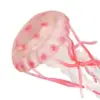 Jellyfish Growth Cycle for Boys Girls Teaching Tools Science Cake Toppers Realistic Animal Growth Cycle Figures Montessori Toys 5