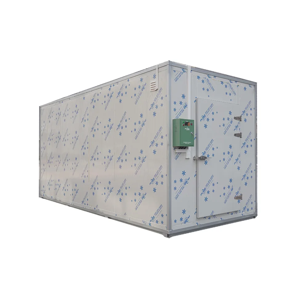Accessories Industrial Cold Room Sliding Door