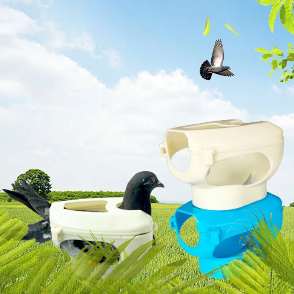 White Pigeon Fixer Holder Bird Supplies Fixed Frame Hollow Out Injection Stand Pet Products Treats Vitamins Supplements