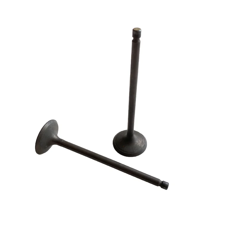 C4.2 C6.4 Engine Intake Valve Excavator Parts For Carter 312D 313D 315D 319D 320D 323D