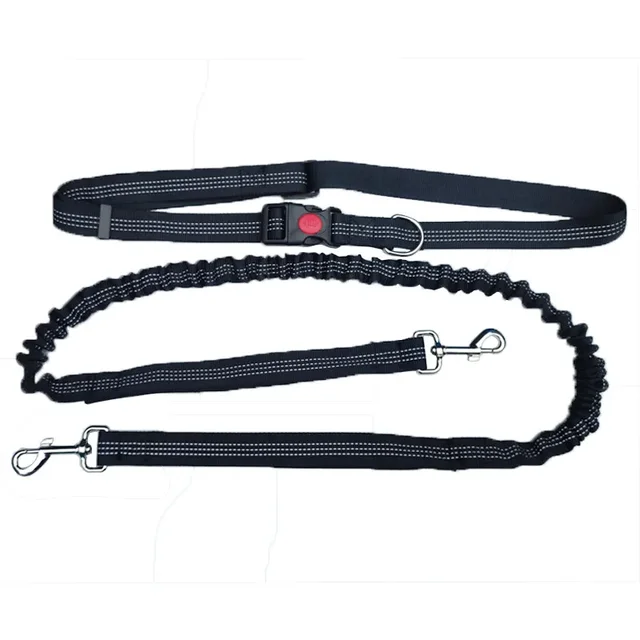 Multi-Functional Running Dog Leash Sport Dog Leash with Dog-Friendly Material Directly From Manufacturer Home Supplies 3