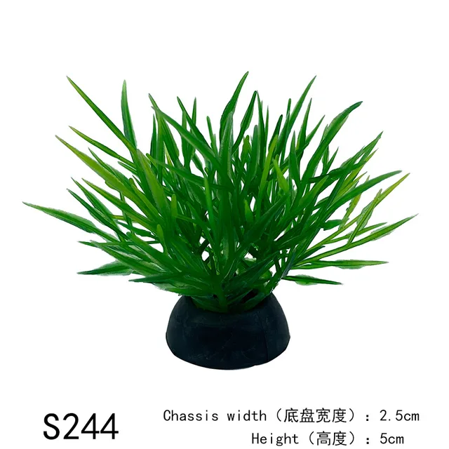 Image 47