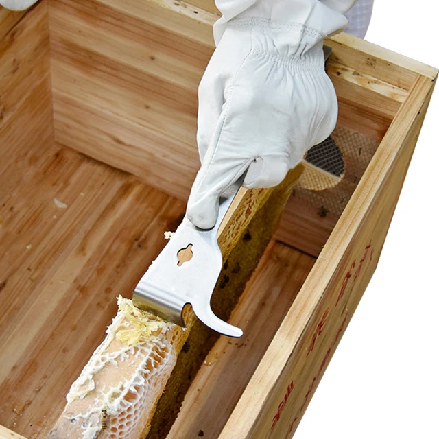 Méhészeti Hüvelykujj-Típusú Kaparó Méhkate-Kaptár Szerszám Méhek Tárolása Apikultúra Berendezések És Szerszámok A Méhész Hdht-005 Számára - Image 3
