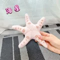 Starfish 20cm