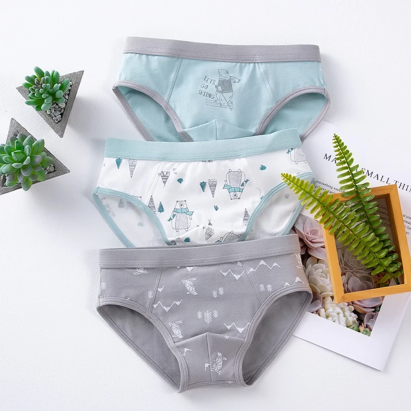 1501 Briefs 3P