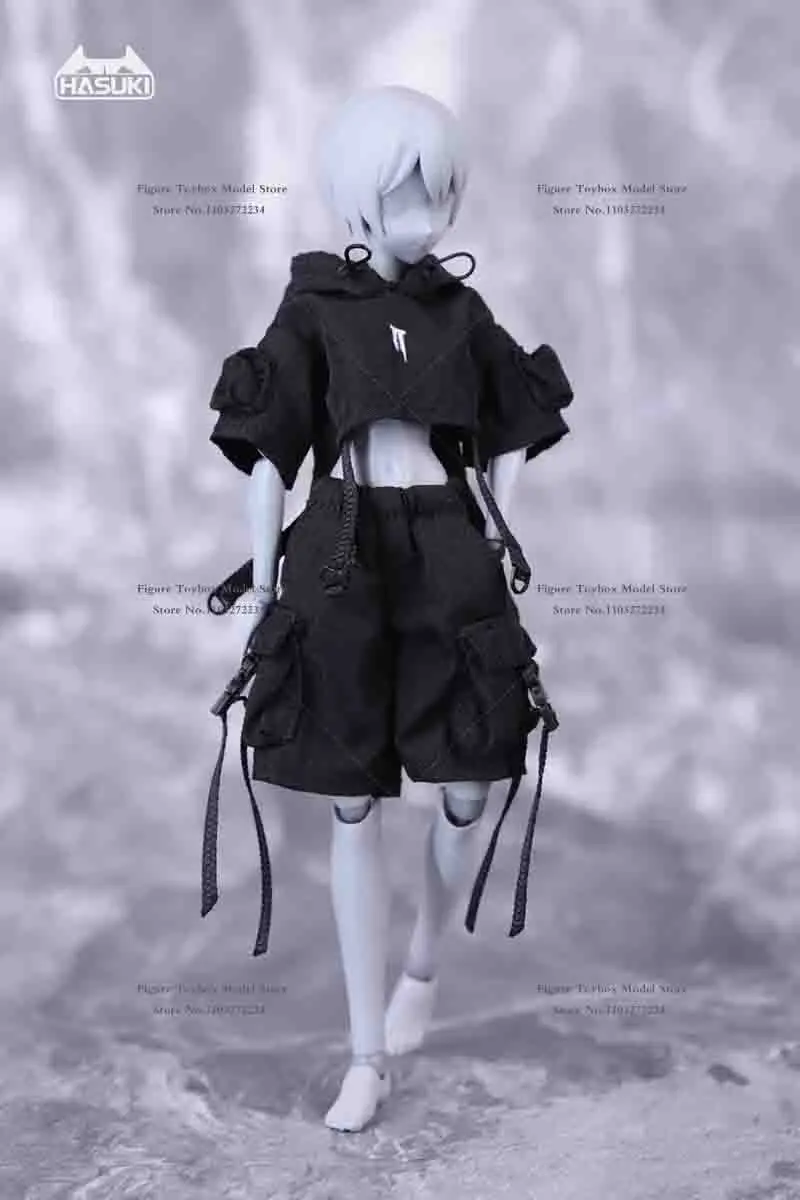 【hazime727】asimocrafts　tsuki_s_asi HowlingStar & Earnestcore Urban Ashti Ismail Model Kit