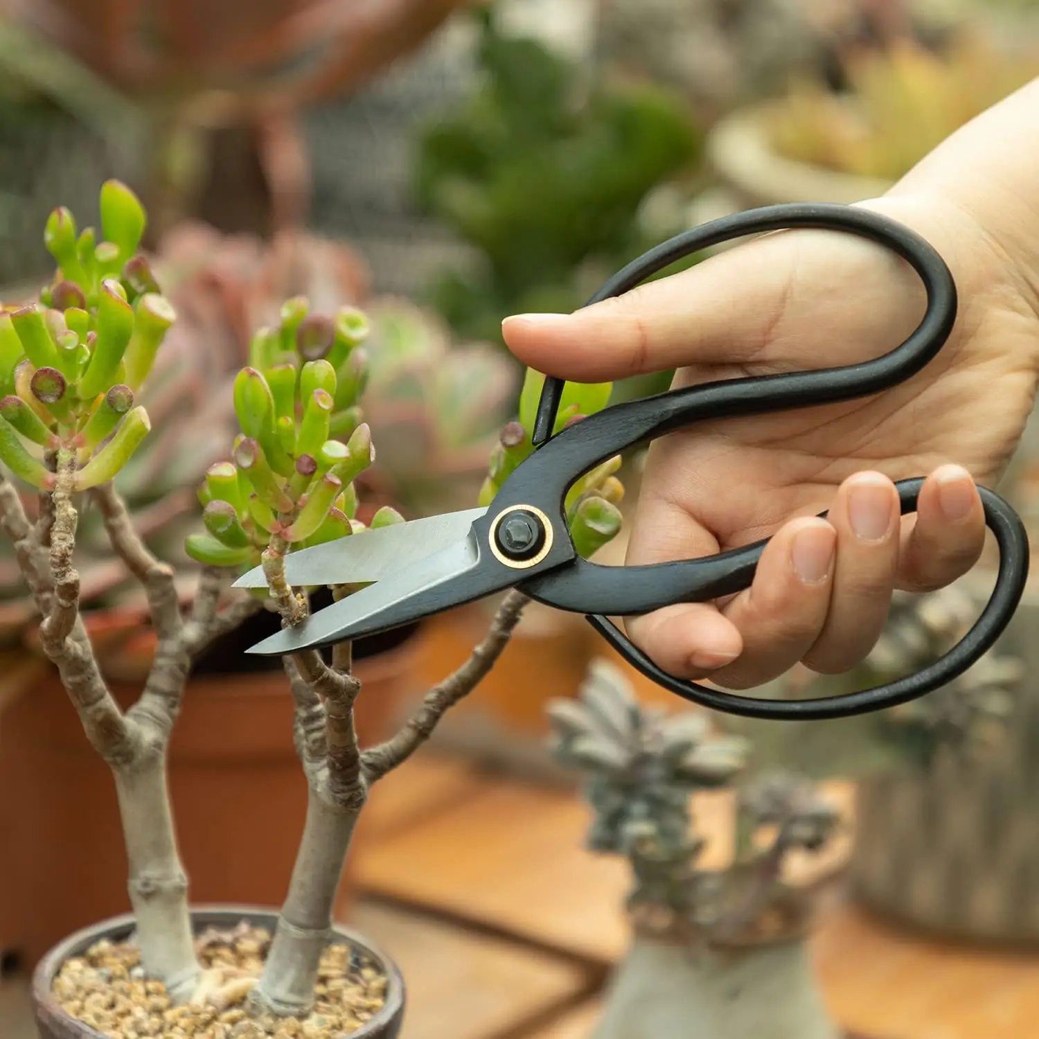 Profesjonalne nożyczki Bonsai tradycyjne nożyce do przycinania motyli Bonsai do precyzyjnego przycinania przycinania roślin kwiatowych