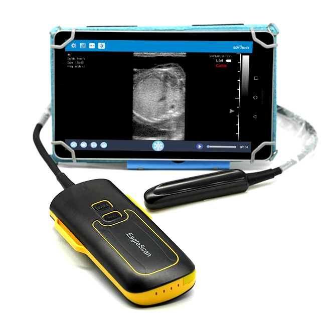 

Veterinary Equipment Bovine Reproduction Pregnancy Test For Pig Cow B Ultrasound Detector