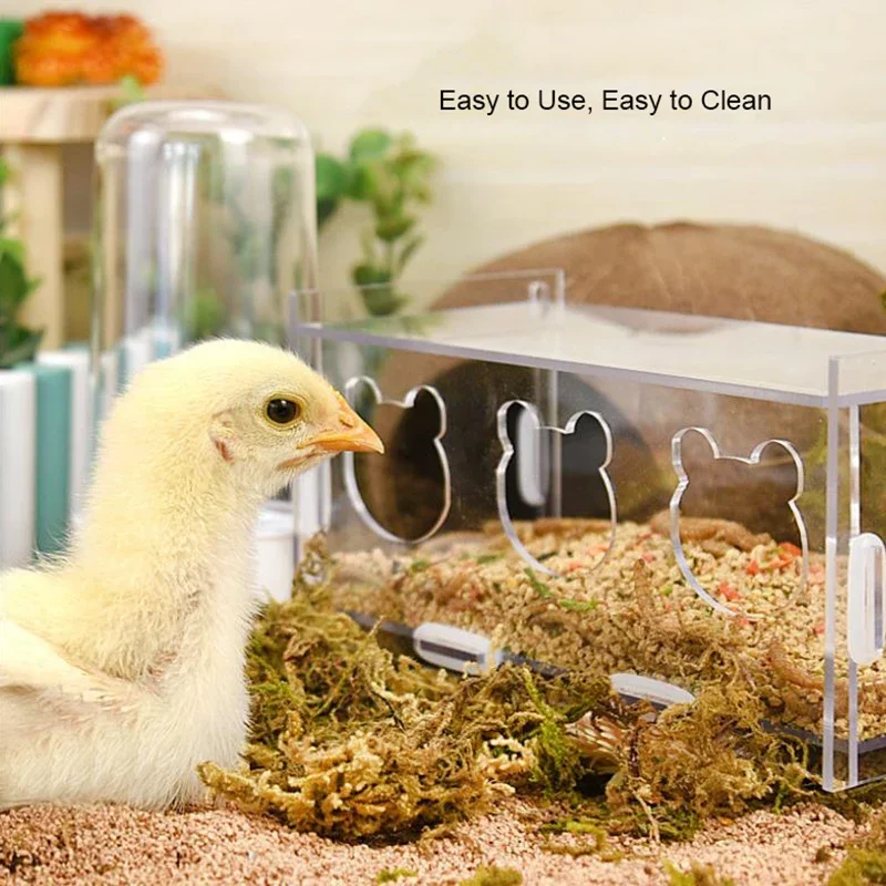 Acrylic Pet Birds Feeder Cage Bowl Fruit Vegetable Container Feeding Cup Cuttlebone Stand Holder Pet Cage Accessories Products