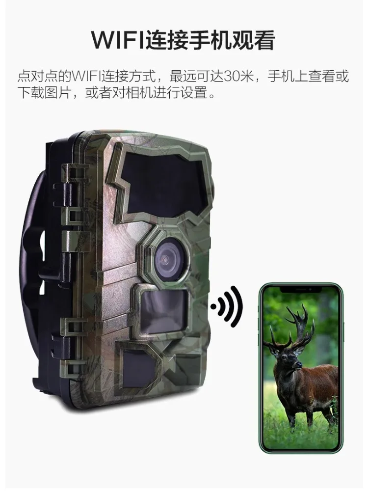 적외선 카메라, 필드 카메라, 야간 투시경, 방수, 시간 경과, 야외 동물 사진
