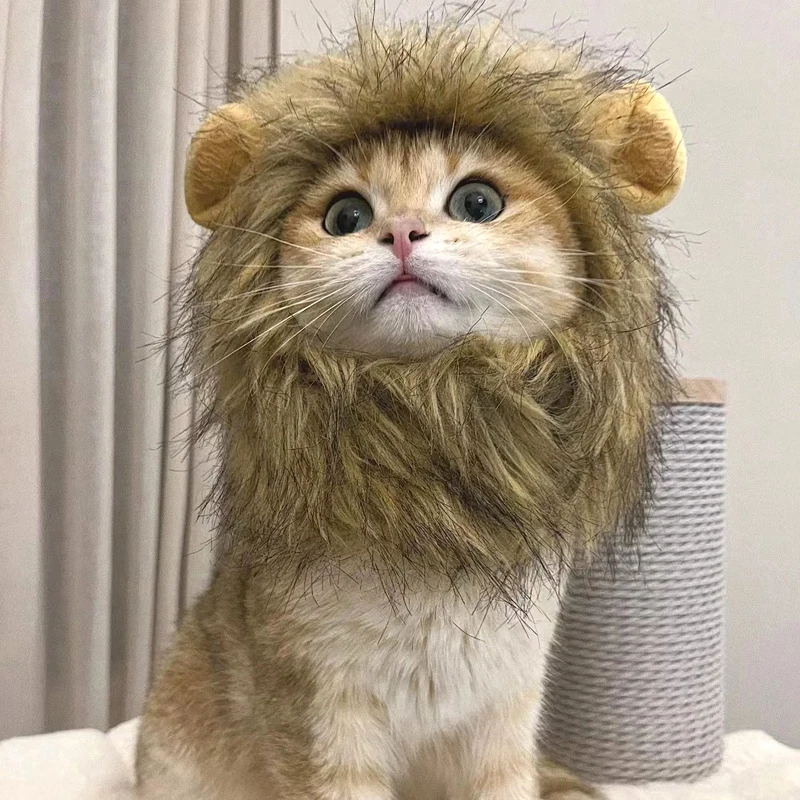 고양이 의상 귀여운 사자 갈기 고양이 가발 모자 코스프레 옷 모자 드레스업 강아지 새끼 고양이 할로윈 크리스마스 파티 장식 용품