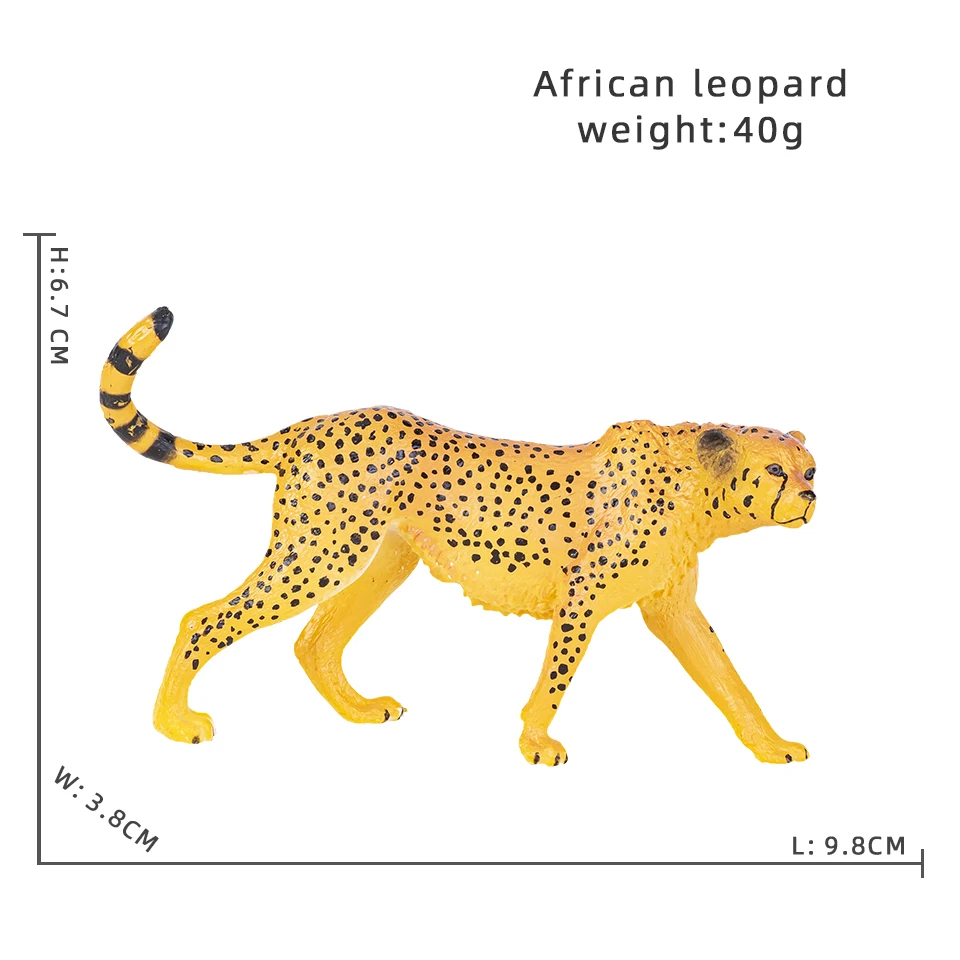 African leopard1