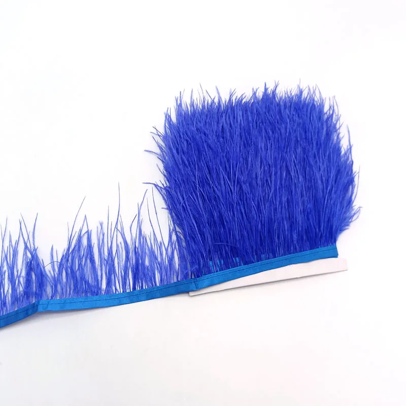 Royal Blue feathers