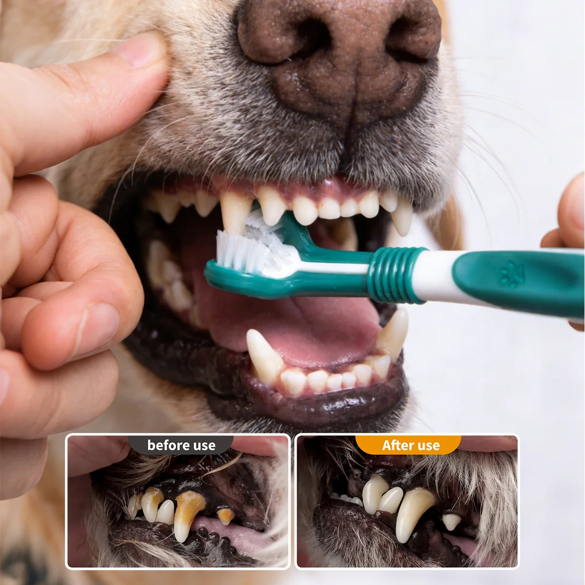 Pet Dental Cleaning Toothbrush 3-Sided 6