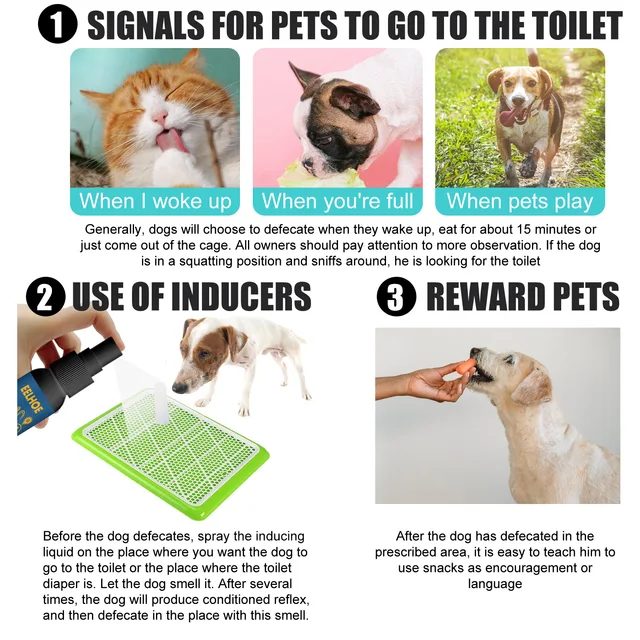 Pet Potty Training Spray 3