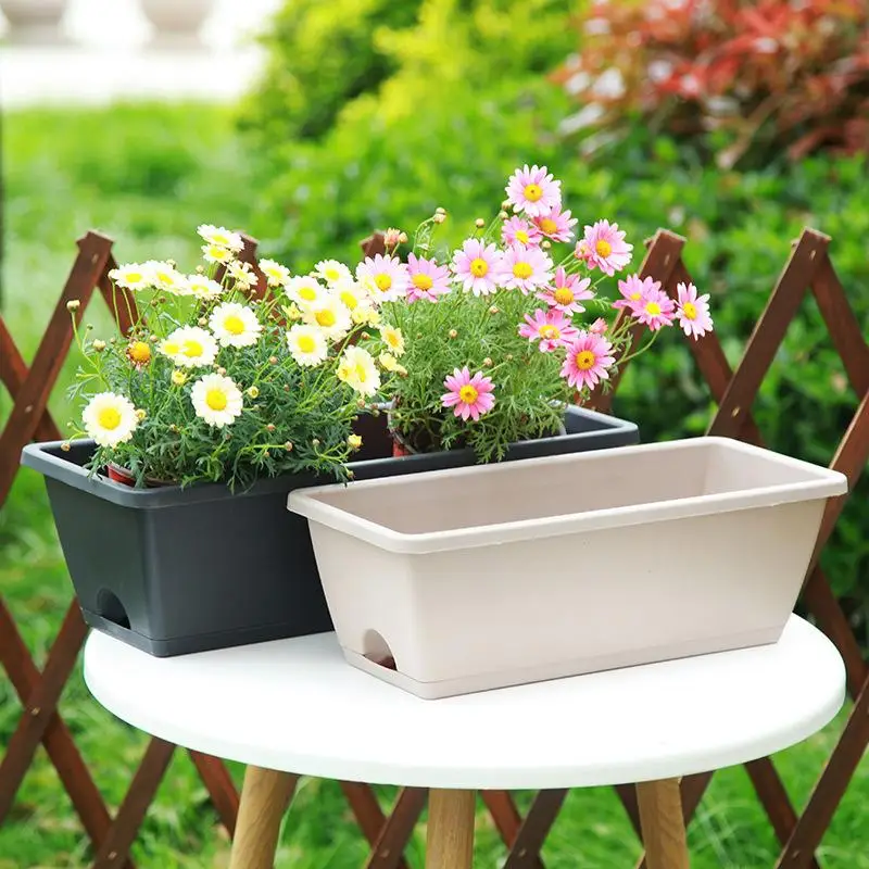 Compact Self-Watering Planter for Indoor Herbs and Vegetables with Drainage Base