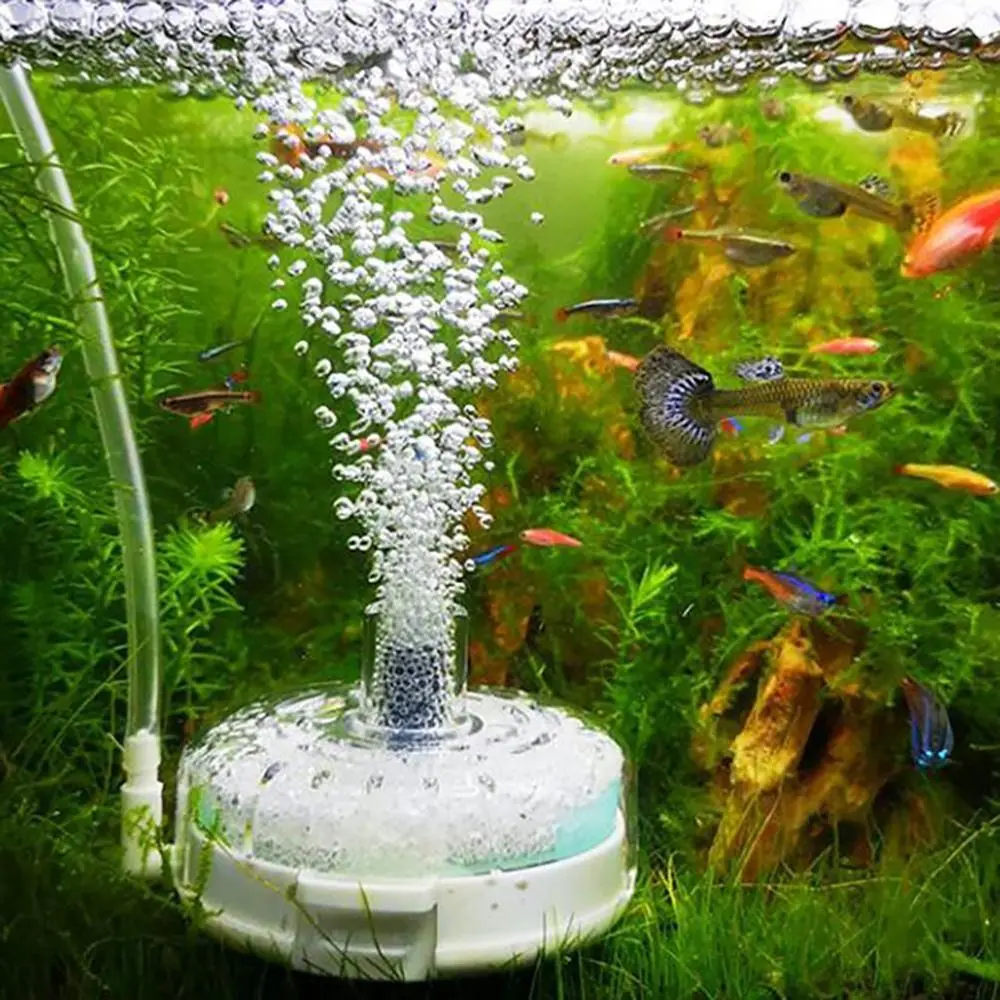 Fish-Tank-Filter-Round-Noiselessly-Ultra-thin-Sponge-Water-Filter ...