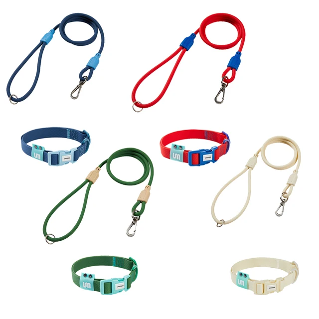Adjustable Color Blocking Design Dog Waterproof  PVC Walking Leash Collor Traction Rope Set For Small Dog Outdoor Training