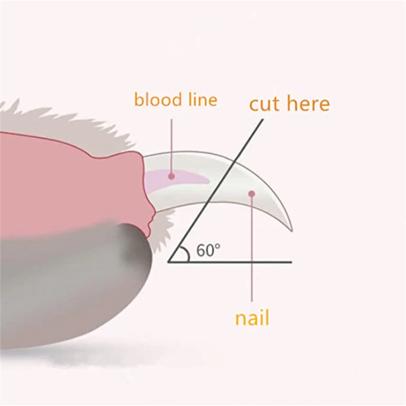 421510-7cef68.jpg