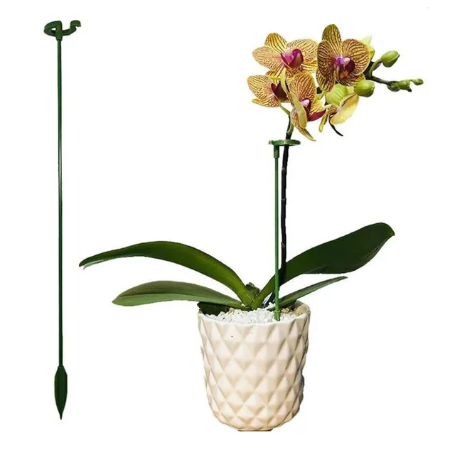 Növénytámogatás 5 Csomag Plant Támogatás Tétkert Egyetlen Szárú Növényi Tartó Karika Prop Virágok Orchidea Paradicsom