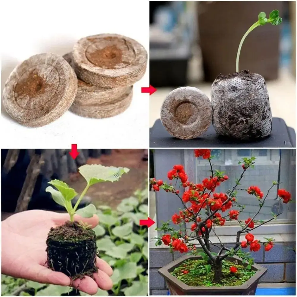 10Pcs Compress Peat Pellet Nurture Seedling Soil Block Cutting Seedling-raising Soil Seed Germination Base Material