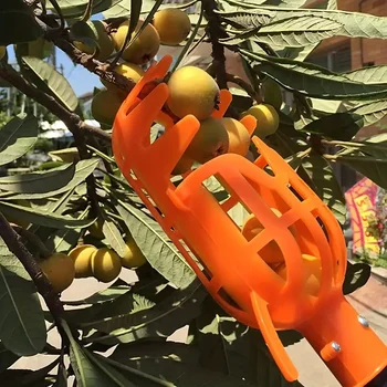 High-Altitude Fruit Picker Tool 1