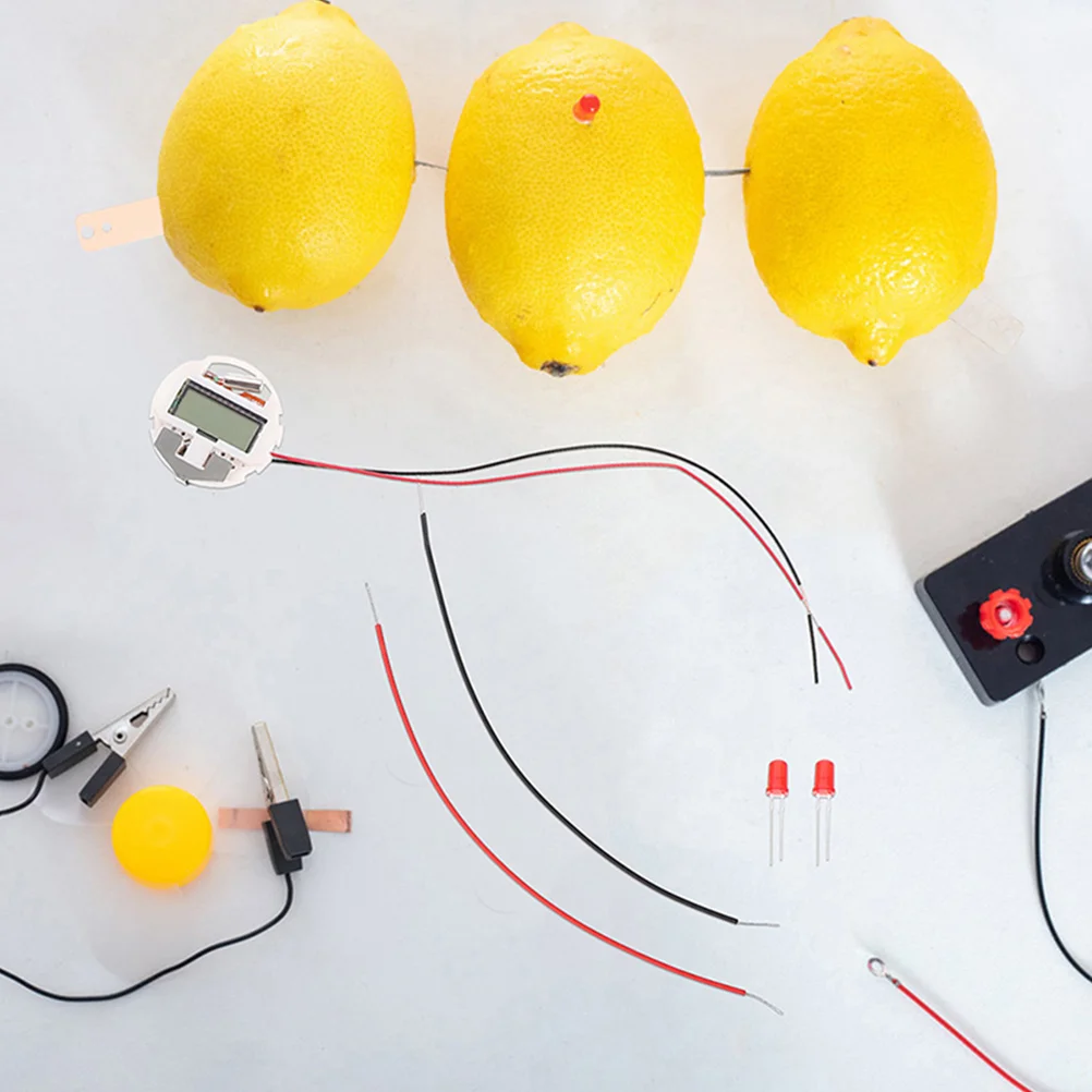 

3 Sets Batterys Fruit Experiment Prop Clock Science Toy for Students Sensory Toys