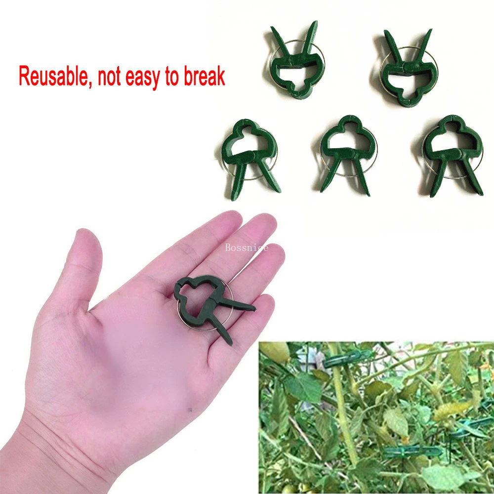 

5/10Pcs Plant Support Clips for Climbing Plants Tomato Cages, Flower and Stems, Vine, Garden Plant Clips, Bonsai Tools
