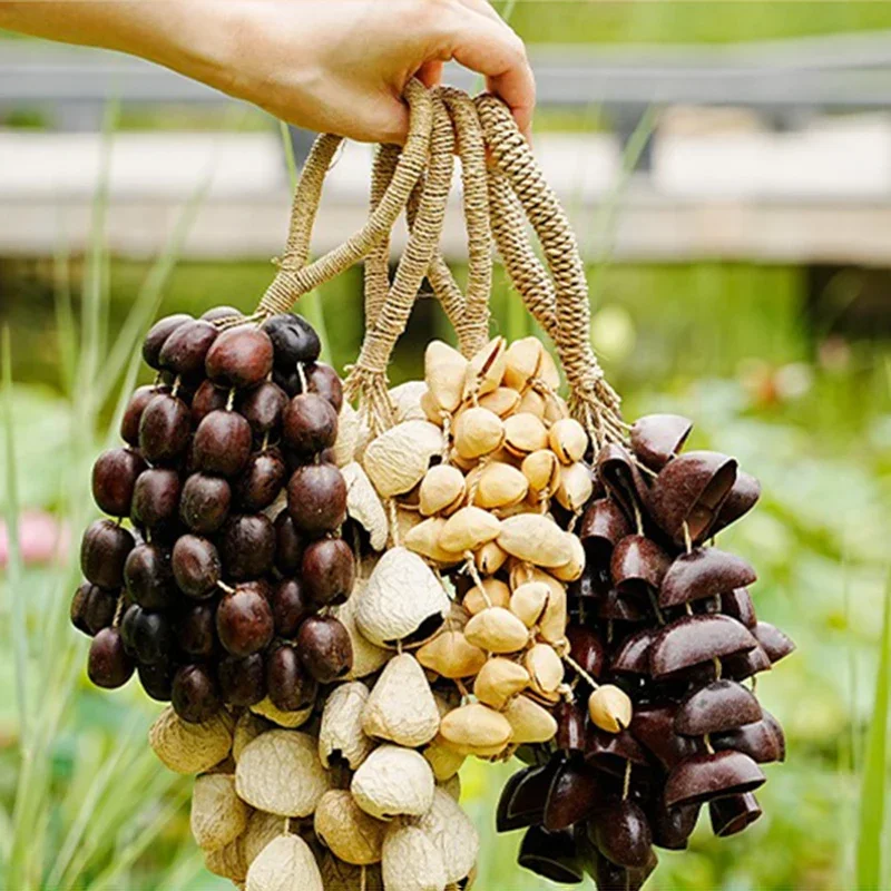 Natural Fruit Ringing Bell Yoga Meditation Diapason Wind Chimes Sound Healing Musical Bells Professional Percussion Instruments
