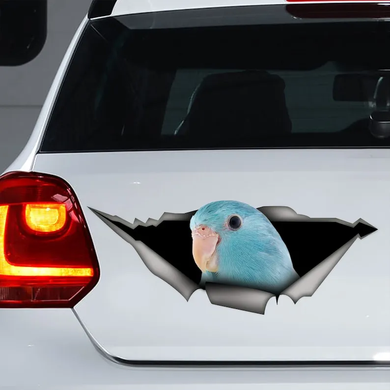 

Синяя Автомобильная наклейка parrotlet, синяя Автомобильная наклейка parrotlet, магнит на холодильник parrotlet, наклейка на ноутбук