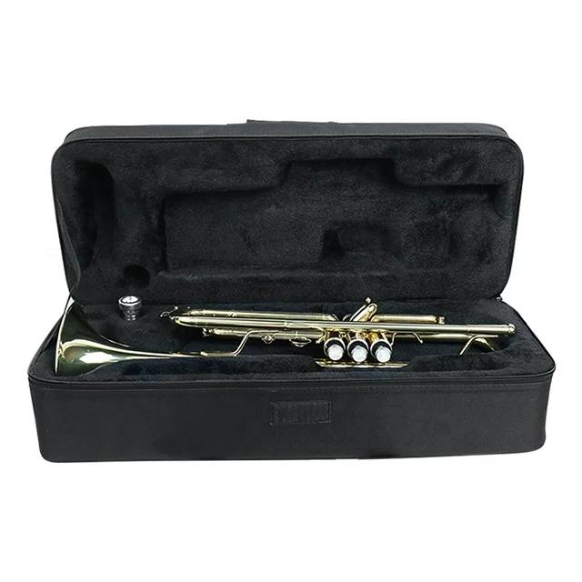 Factory Price JinBao TR-300 Yellow Brass Bb Key Standard Practice Trumpet