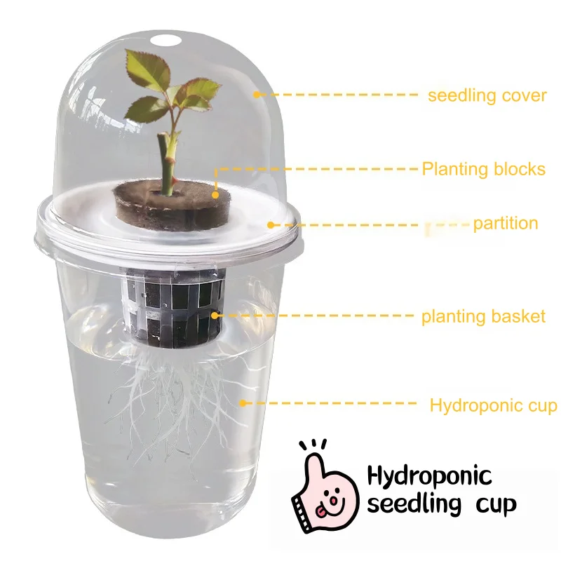 Hydroponic Planter Pot with Net Basket