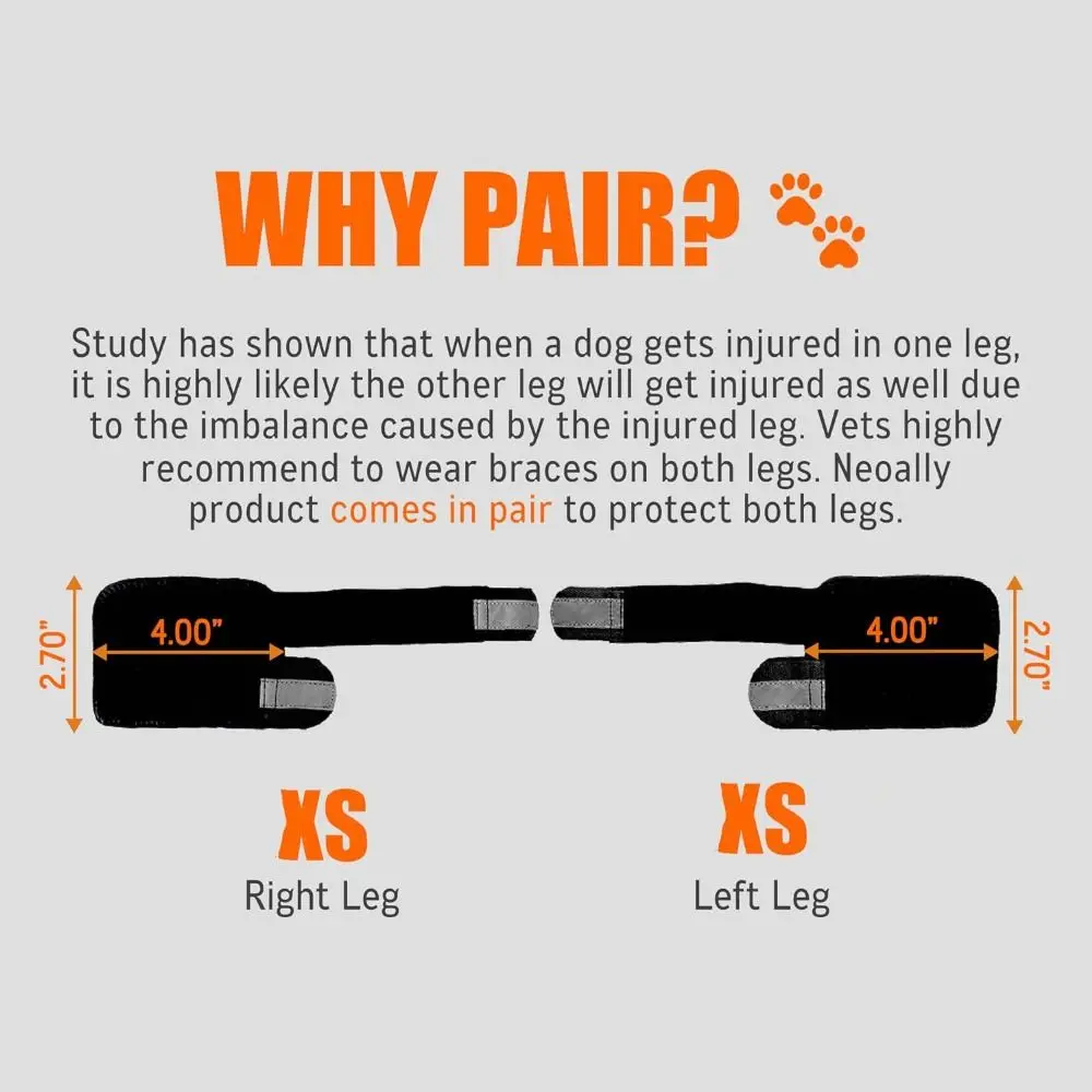 1PC Metal Strips Dog Front Leg Brace Reflective Strips Non-Slip Joint Support Breathable Adjustable Straps Knee Brace 2