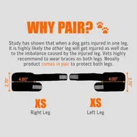 1PC Metal Strips Dog Front Leg Brace Reflective Strips Non-Slip Joint Support Breathable Adjustable Straps Knee Brace 2